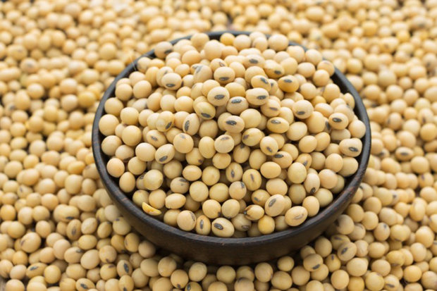 Iran no. 1 buyer of US soybeans in August: BIMCO