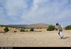 The photo is depicting a boy holding water containers to get water in a village in Fars province
