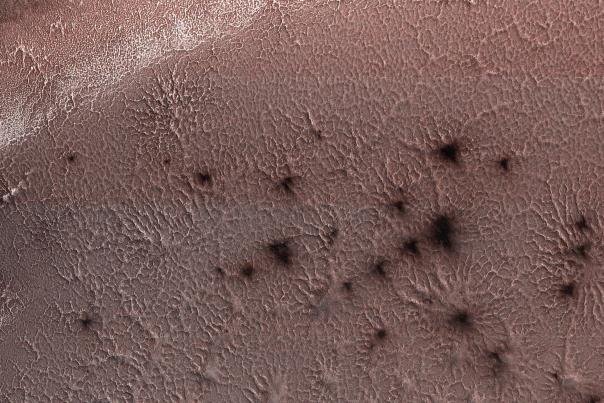 تصویری از عنکبوت های مریخ