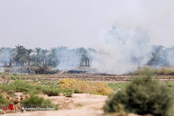 Add insult to injury: Hour al-Azim wildfire is still haunting Khuzestan 