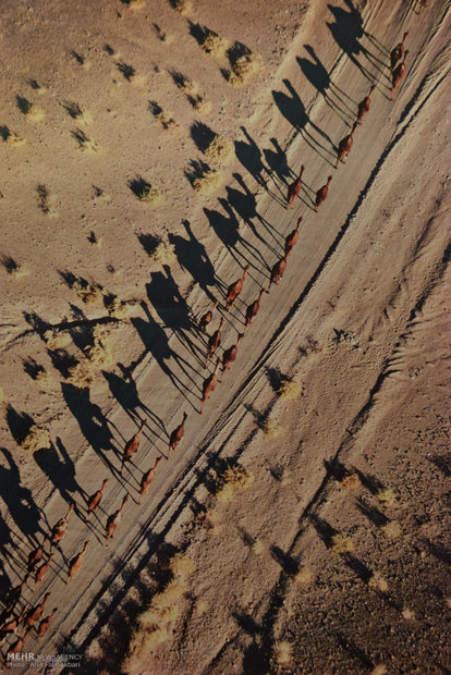 Georg Gerster's aerial photographs of Iran