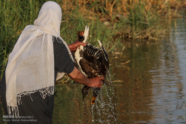 Mandaeans performing baptism in Karun River