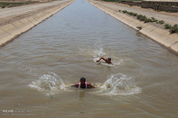 شنا در کانال آبیاری کشاورزی برای فرار از گرما