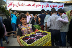 Blackberry festival held to promote rural tourism in Tehran