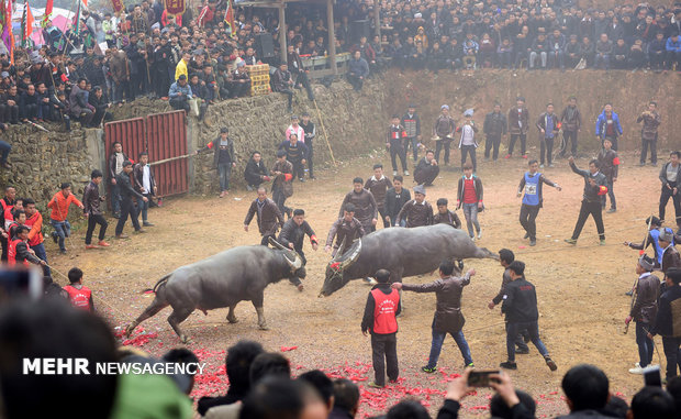 Çin'in Guizhou elayetine yolculuk