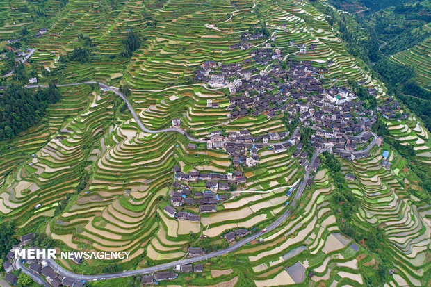 Çin'in Guizhou elayetine yolculuk