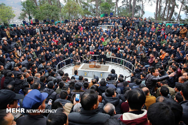 Çin'in Guizhou elayetine yolculuk