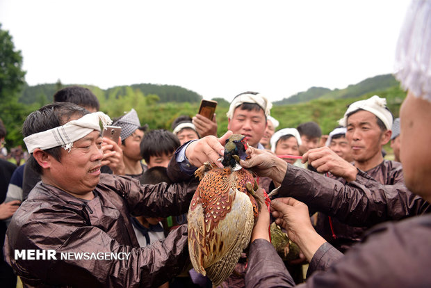 Çin'in Guizhou elayetine yolculuk