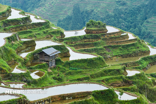 Çin'in Guizhou elayetine yolculuk