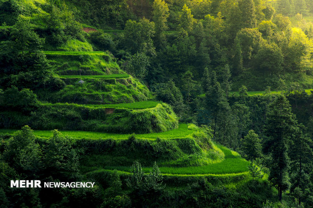 Çin'in Guizhou elayetine yolculuk