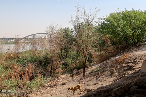  Air pollution in Ahvaz