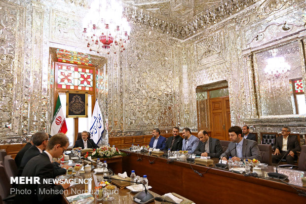 Meeting of Iran and Austria's parliamentary officials  in Tehran