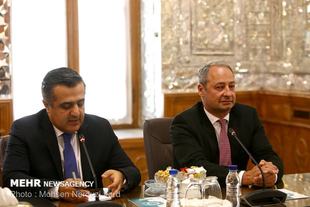 Meeting of Iran and Austria's parliamentary officials  in Tehran