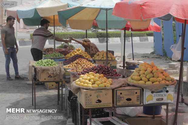 ازدهار سوق السمك والفواكه الصيفية في جزيرة قشم
