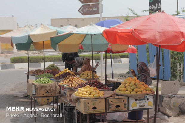 ازدهار سوق السمك والفواكه الصيفية في جزيرة قشم