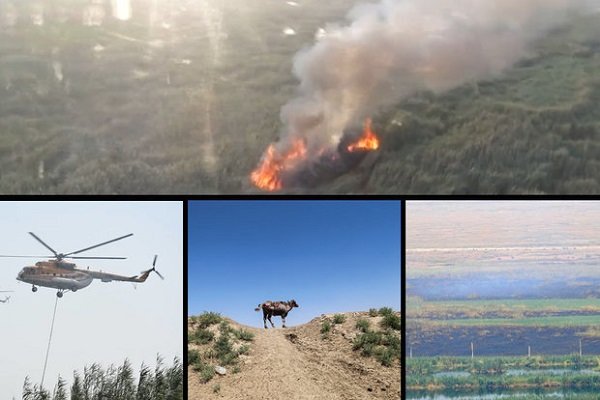 VIDEO: IRGC helicopters fight Hoor Al-Azim wildfire in Iraq