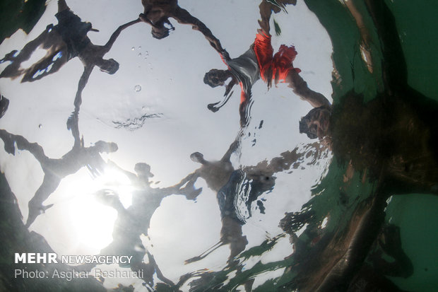 Qeshm Island hosts Nowrooz Sayad Festival (Fishermen) 