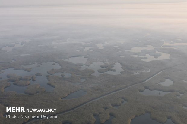 Aerial photos of Hoor Al-Azim wildfire