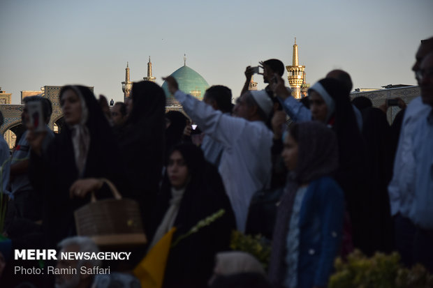 Showering Holy Shrine of Imam Reza (AS) with flowers 