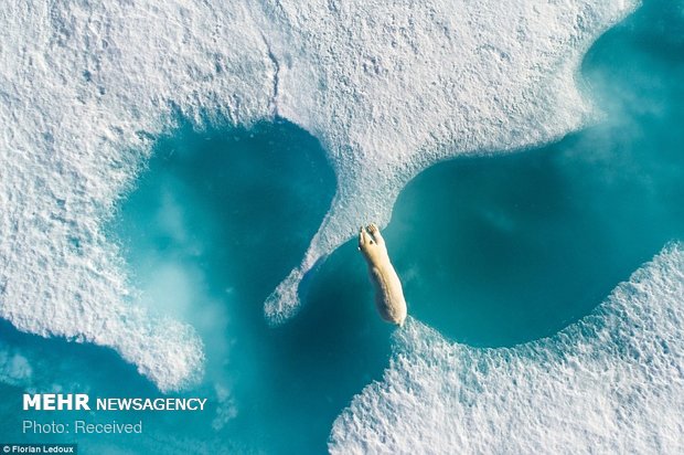 Drone ile çekilen en güzel fotoğraflar