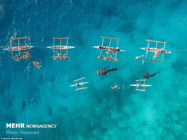 Drone ile çekilen en güzel fotoğraflar