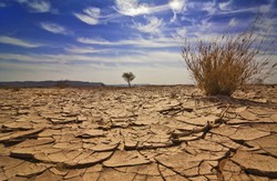 ‘Iran’s renewable water resources decreased by 25% in 5 decades’