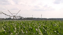 SMART IRRIGATION
