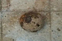 کشف یک گلوله توپ جنگی ۱۰۰ ساله در محوطه کاخ چهل‌ستون اصفهان
