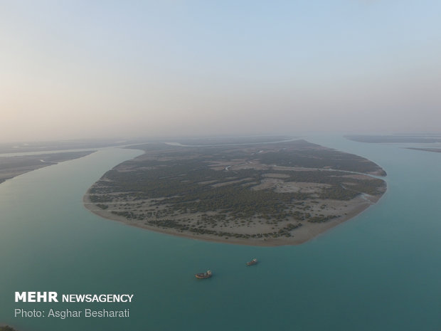 Breathtaking views of ‘Qeshm mangrove forest’ at a glance 