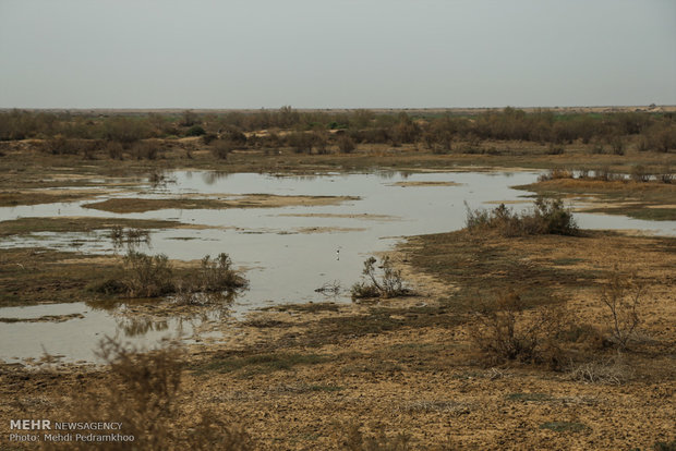  أهوار خوزستان