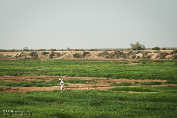  أهوار خوزستان