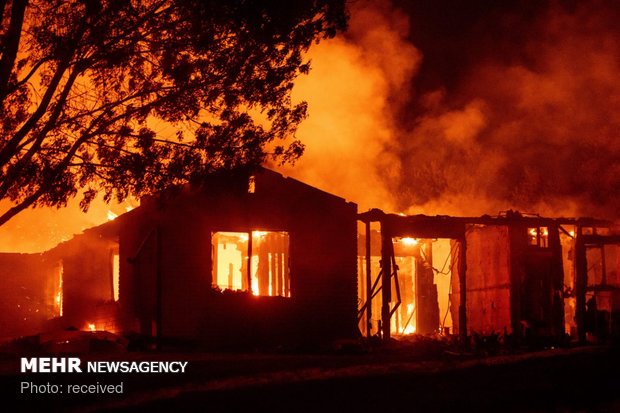 کیلیفورنیا کے جنگلات میں لگنے والی آگ سے 5 افراد ہلاک