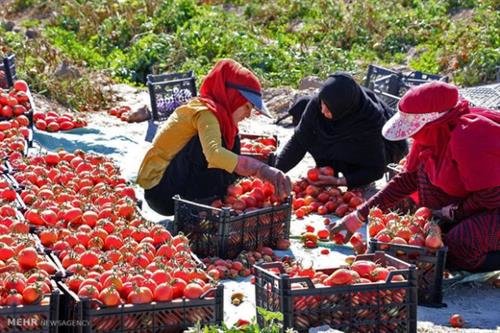 5-year tax exemption for job creating units in rural areas
