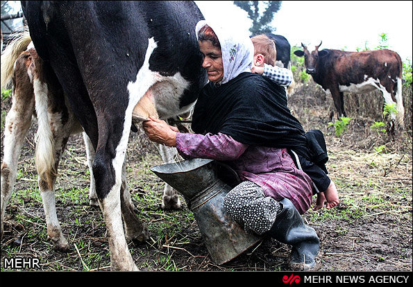 Plan underway to create jobs for breadwinner women in quake-hit Kermanshah