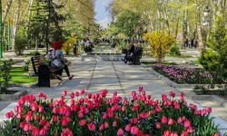 Tehran Municipality promoting communication and socialization in parks 
