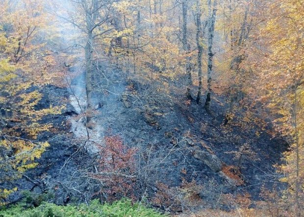 آتش سوزی عمدی پارک ملی تندوره مهار شد