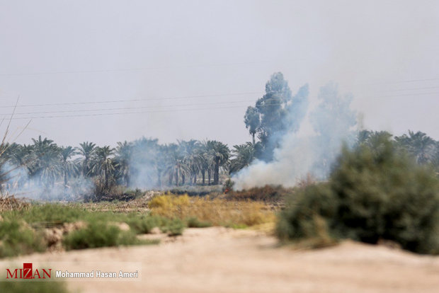 Raging fire burns 23,000 ha of Hour al-Azim wetland