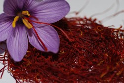 Saffron