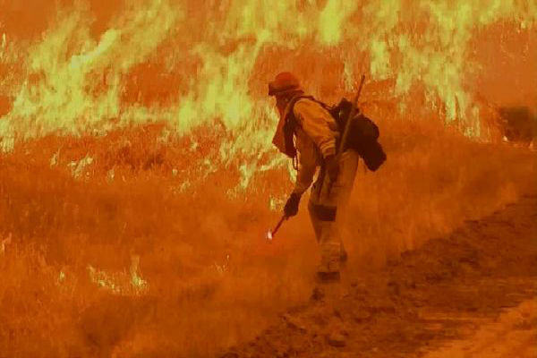 تلفات آتش‌سوزی در کالیفرنیا به ۸۰ نفر رسید/ هزار نفر مفقود هستند