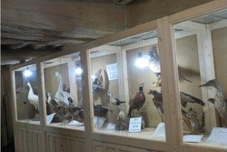 نزدیک ۴ هزار نفر از موزه تاریخ طبیعی ارومیه بازدید کرده اند