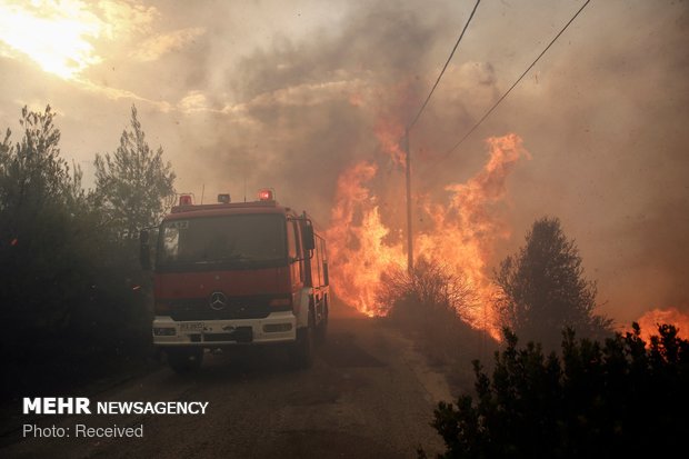 Yunanistan'da orman yangını