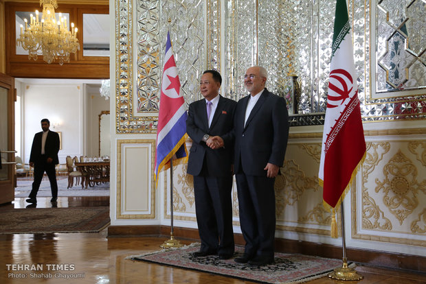 Iran, North Korea FMs hold talks in Tehran