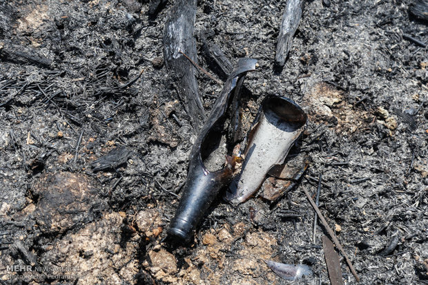 خاکستر شدن 600 اصل نخل در خنافره شادگان 