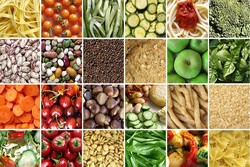 صادرات  ۸ هزار تن انواع محصولات کشاورزی فارس