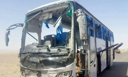 نیوزی لینڈ میں بس حادثے میں 6 افراد ہلاک