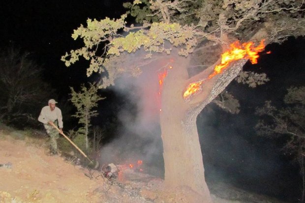 استمرار آتش‌سوزی در جنگل‌های منطقه «مله‌کوه» پلدختر