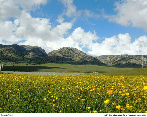 Iran Kopet Dag added to UNESCO's world network of biosphere reserves