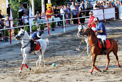 Polo competition held in Tabriz