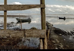 DOE asks govt. body to help restore Anzali wetland 