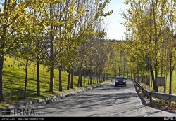 24/7 LEZ scheme aim to help combat air pollution in Tehran 